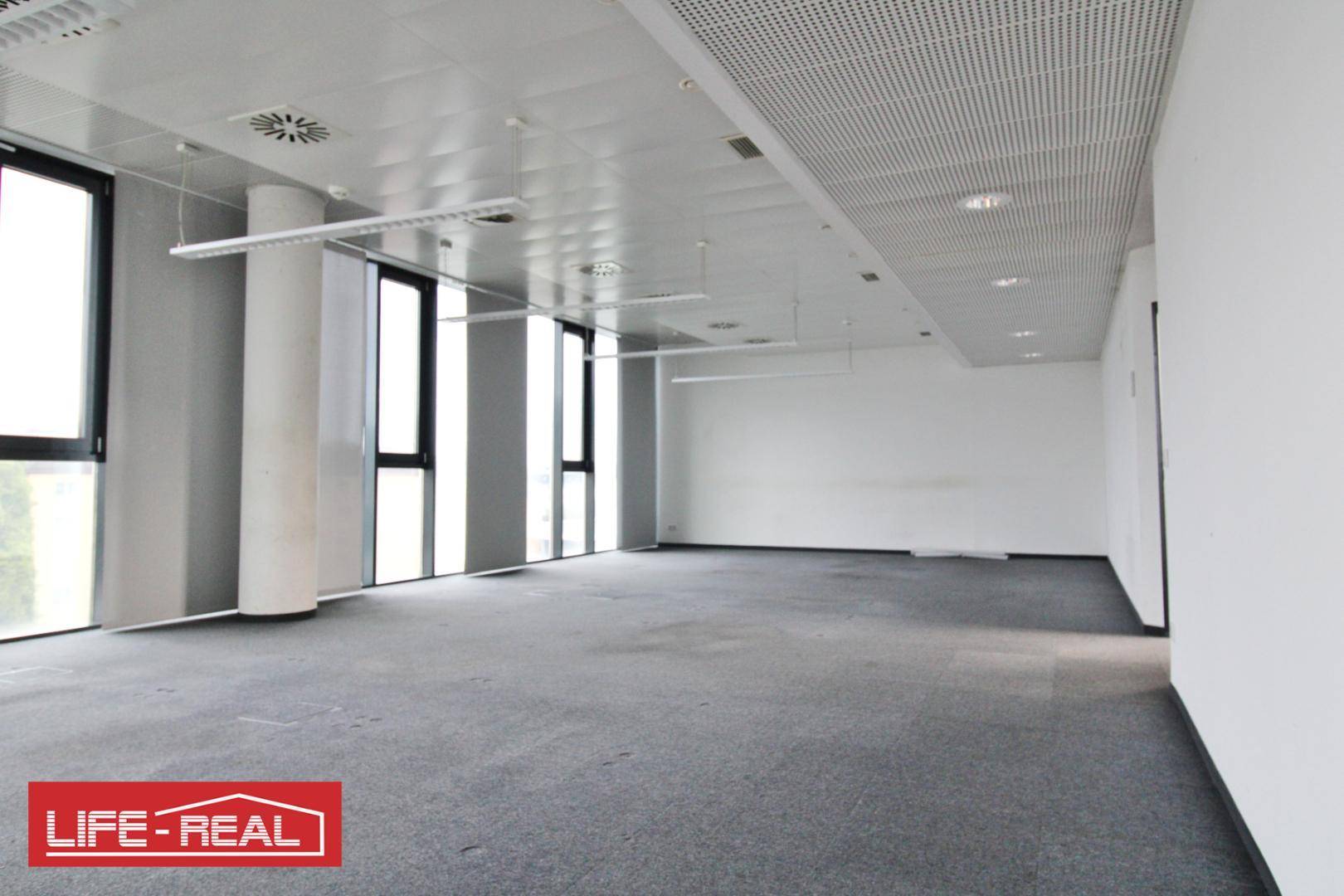 Geräumiges, leeres Büro mit Teppichboden und großen Fenstern, bereit für die individuelle Gestaltung.
