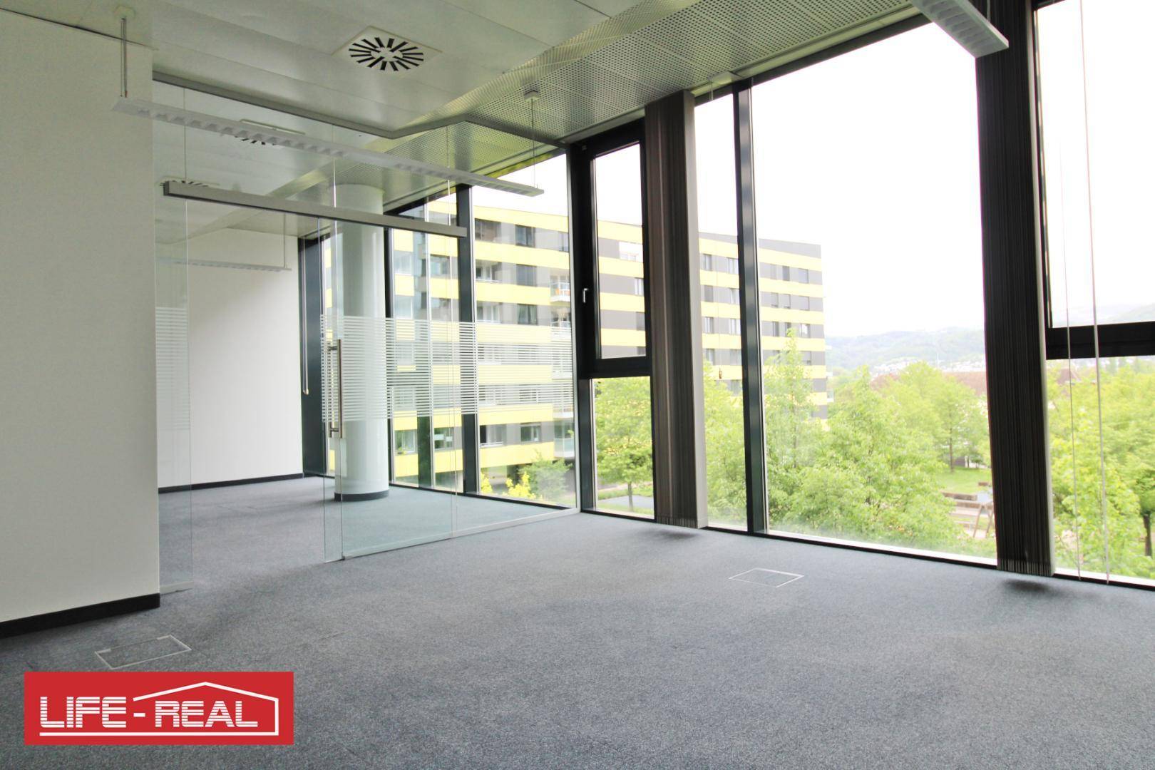Moderner Bürobereich mit Teppichboden und Glaswänden, die viel Tageslicht in die Räume lassen.