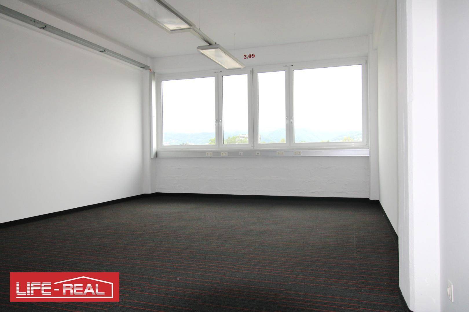 Helles Büro mit weitem Ausblick durch große Fenster und dunklem Teppichboden, bereit zur individuellen Einrichtung.