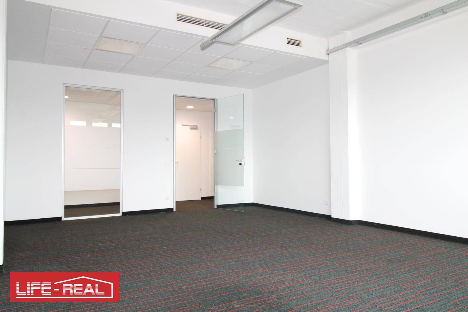 Modernes Büro mit Teppichboden und Glastüren, das eine helle und offene Arbeitsumgebung bietet.