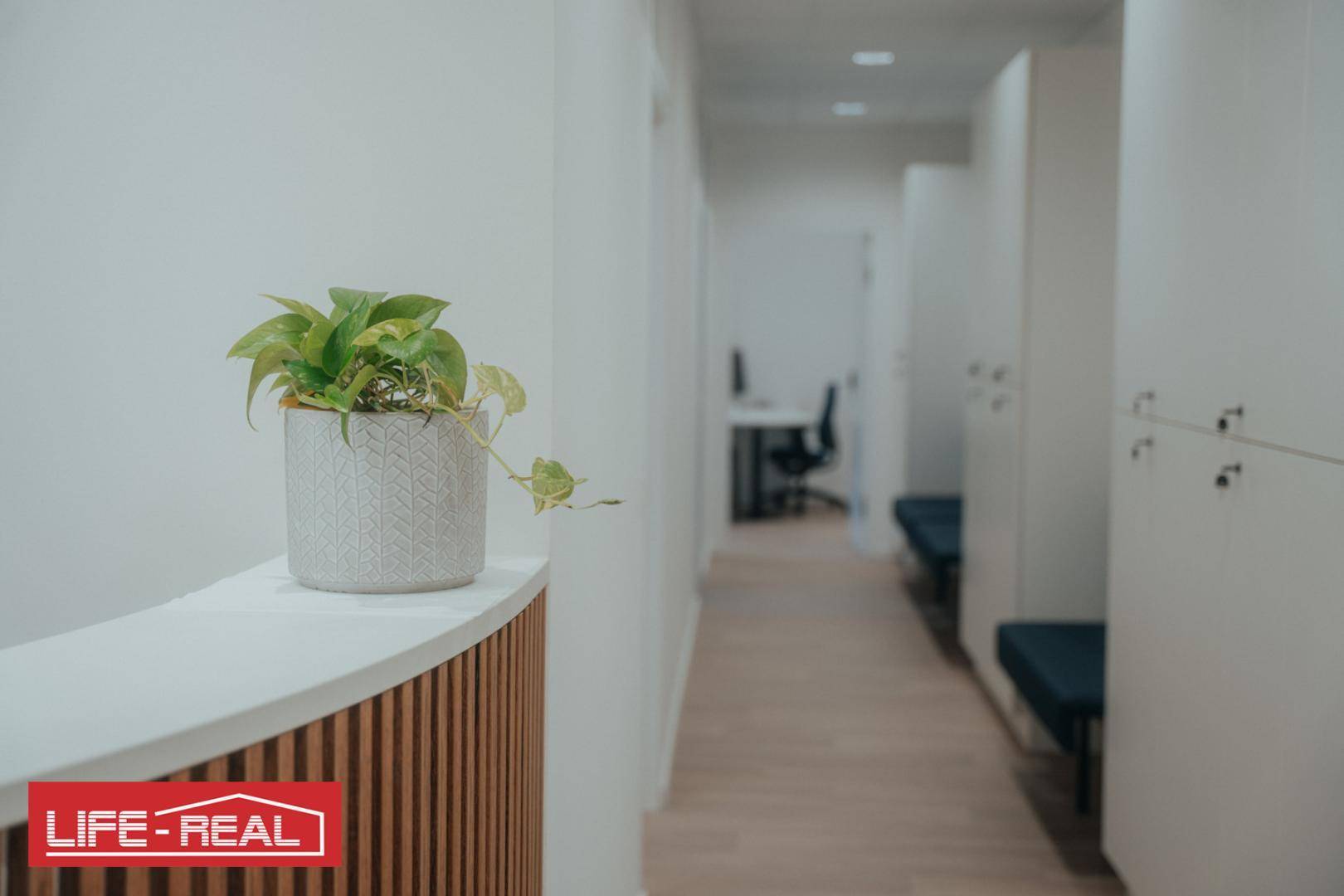 Heller Flur mit Wartebereich, Pflanzen und modernen Schließfächern in einer professionellen Umgebung.