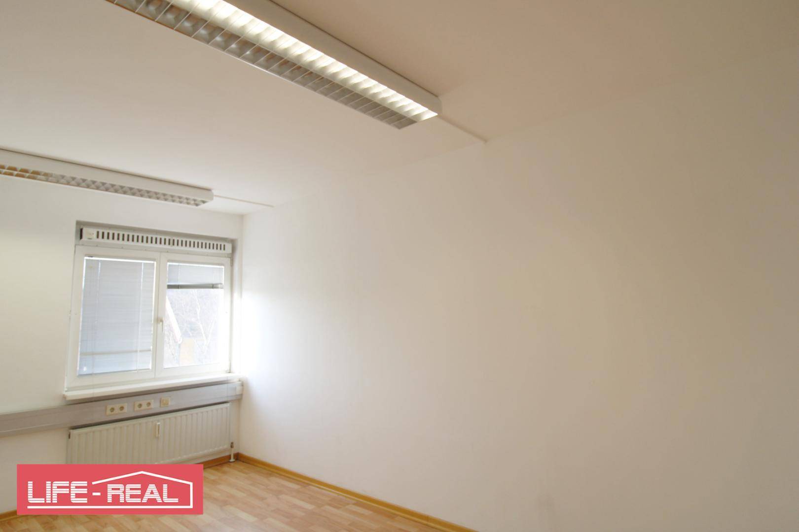 Geräumiger Büroraum mit weiß gestrichenen Wänden, Fenster und praktischer Deckenbeleuchtung.