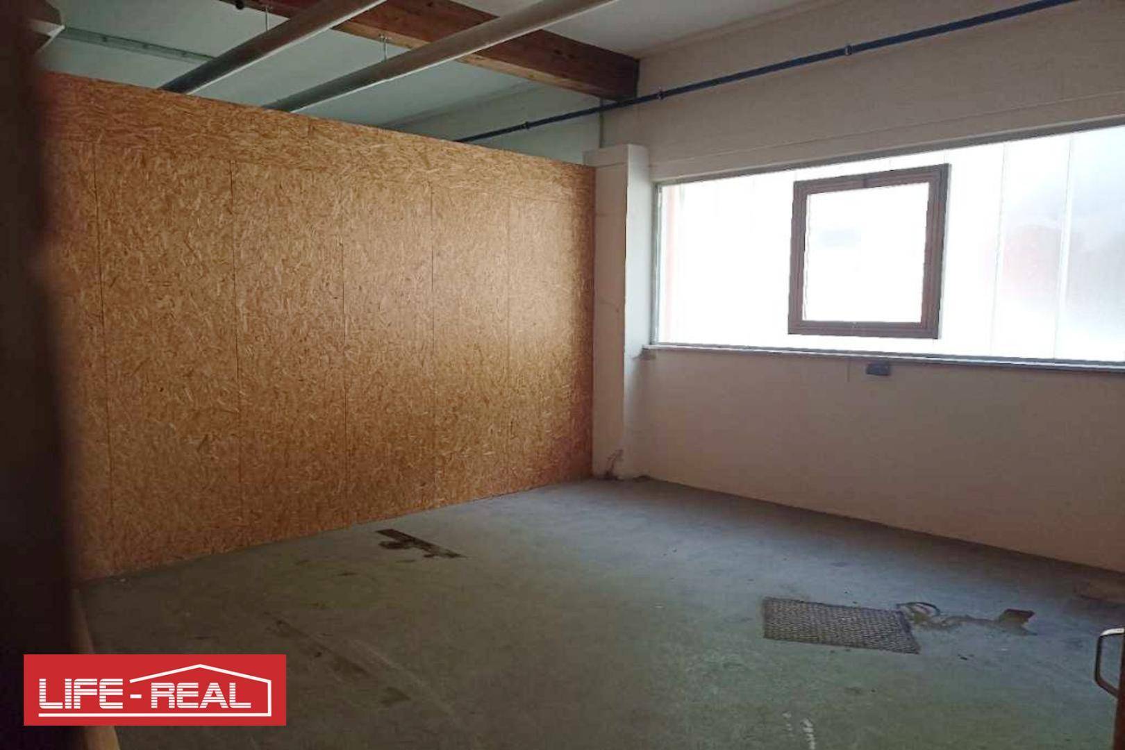 Raum mit OSB-Plattenwand, Betonboden und einem großen Fenster, das viel Licht hereinlässt.