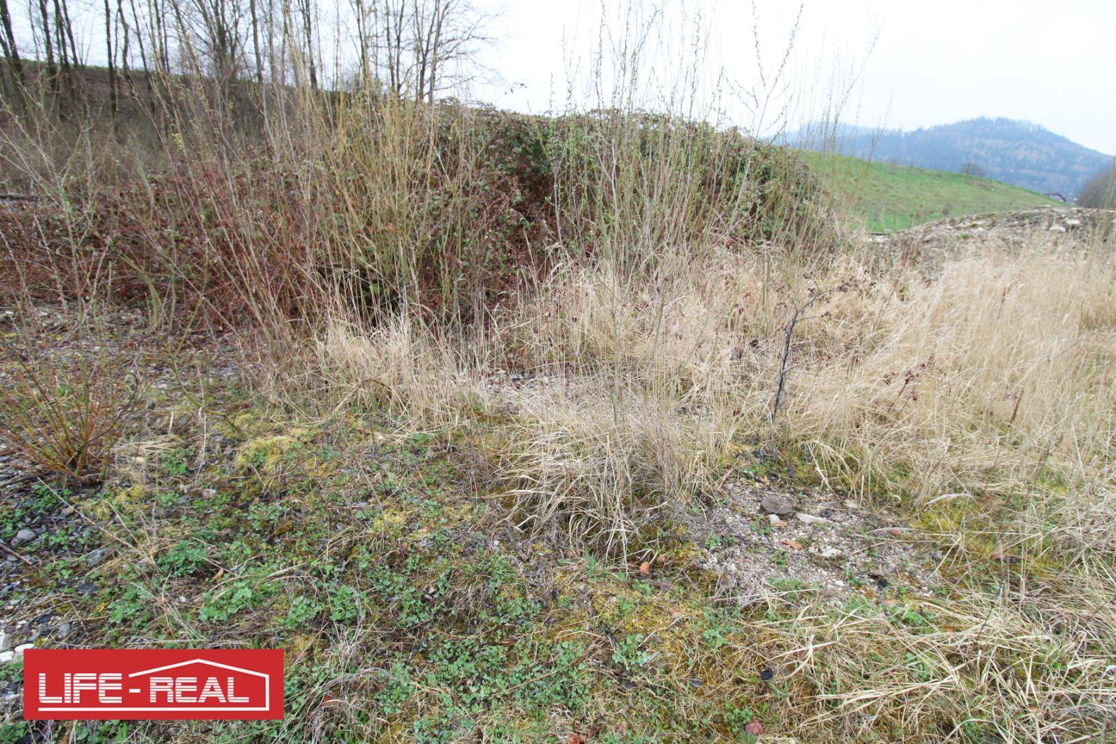 Bodennahe Ansicht eines Grundstücks mit gemischter Vegetation, grünen Flecken und Hügeln in der Ferne.
