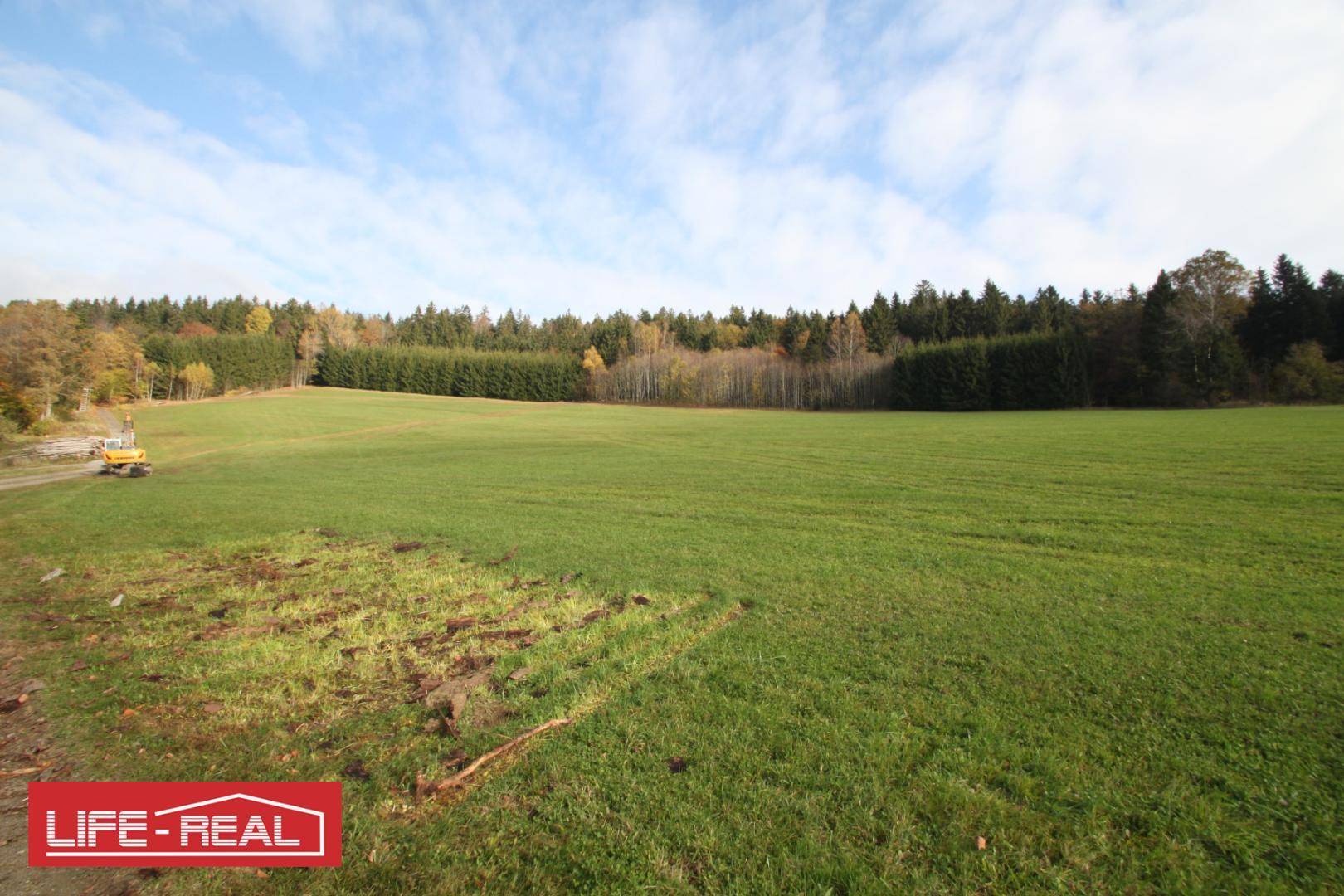 Weitläufige grüne Landschaft mit Waldrand und einem kleinen Bagger am Horizont.