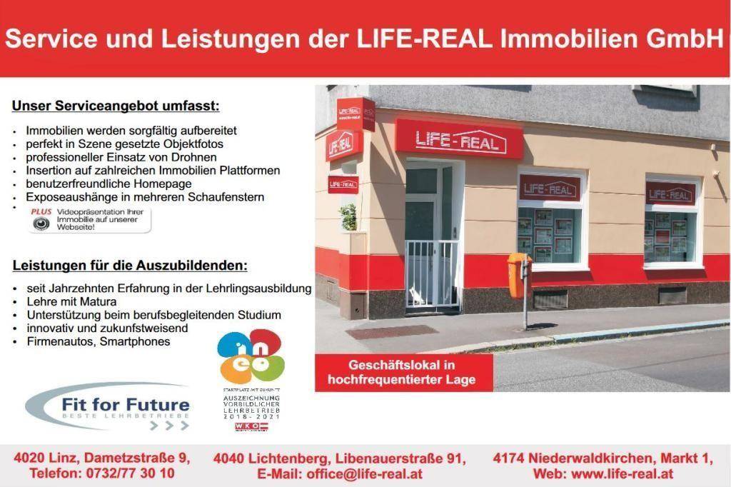 Slide 7