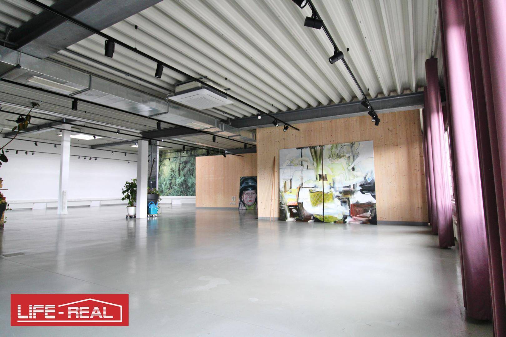 Offener Gewerberaum mit hohen Decken, Betonboden und einer Holzwand mit Kunstwerken.
