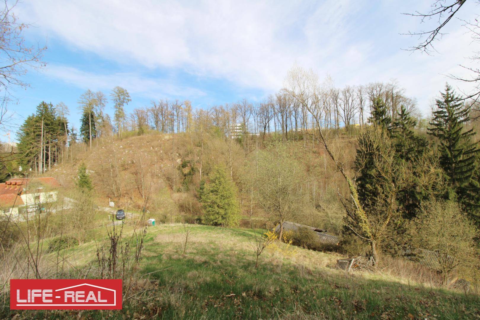 Weitläufige grüne Landschaft mit bewaldeten Hügeln und vereinzelten Häusern in der Ferne unter blauem Himmel.