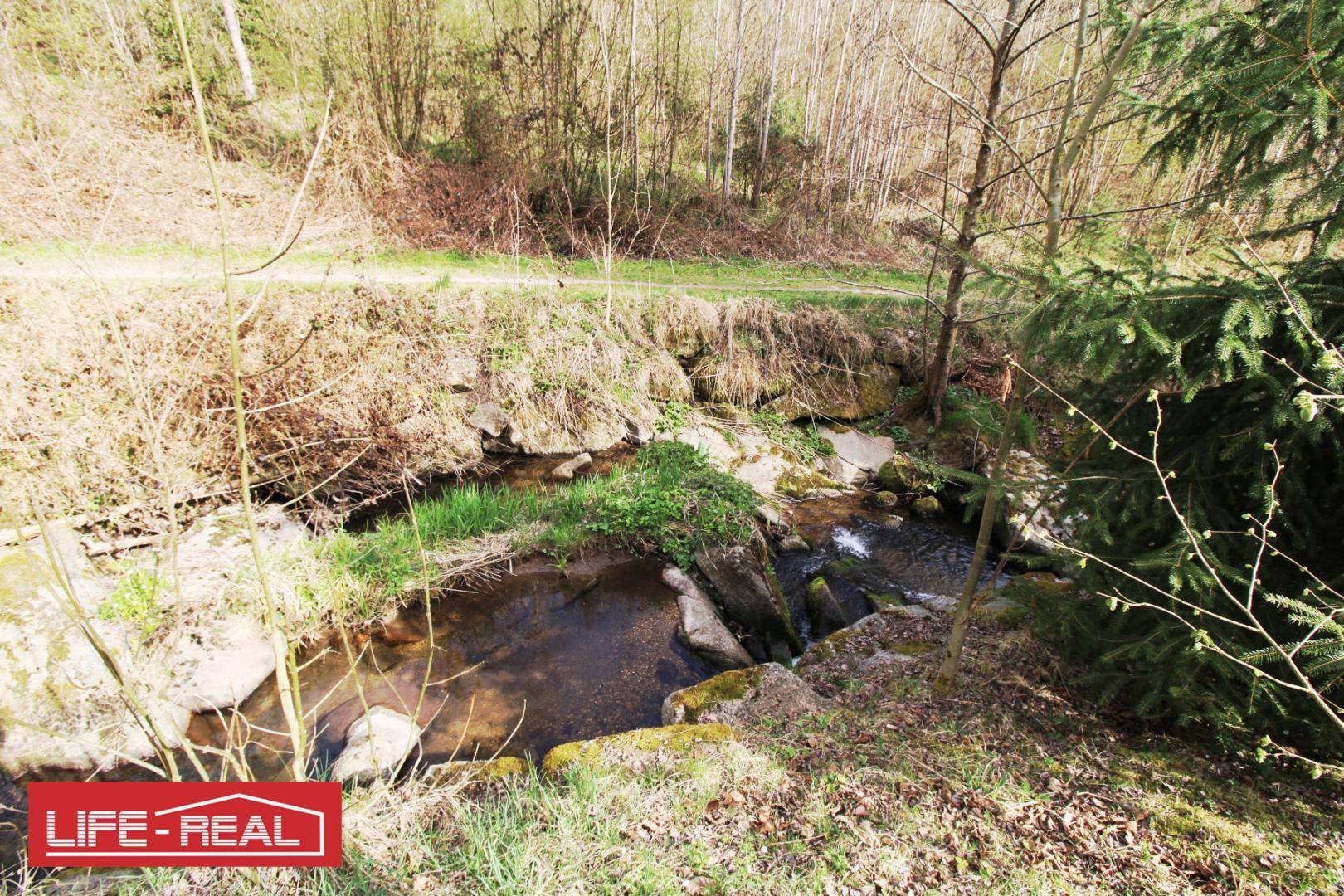 Nahaufnahme eines natürlichen Bachlaufs mit Felsen und üppiger Vegetation in einer Waldumgebung.