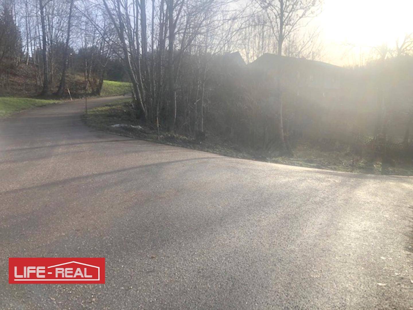 Geschwungene Landstraße umgeben von Bäumen mit sonnigem Ausblick.
