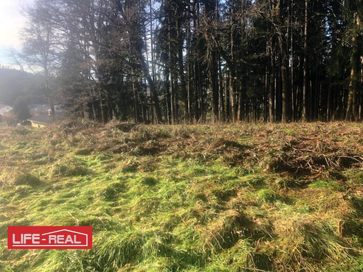 Am Wald grenzendes Baugrundstück - Ansicht 4