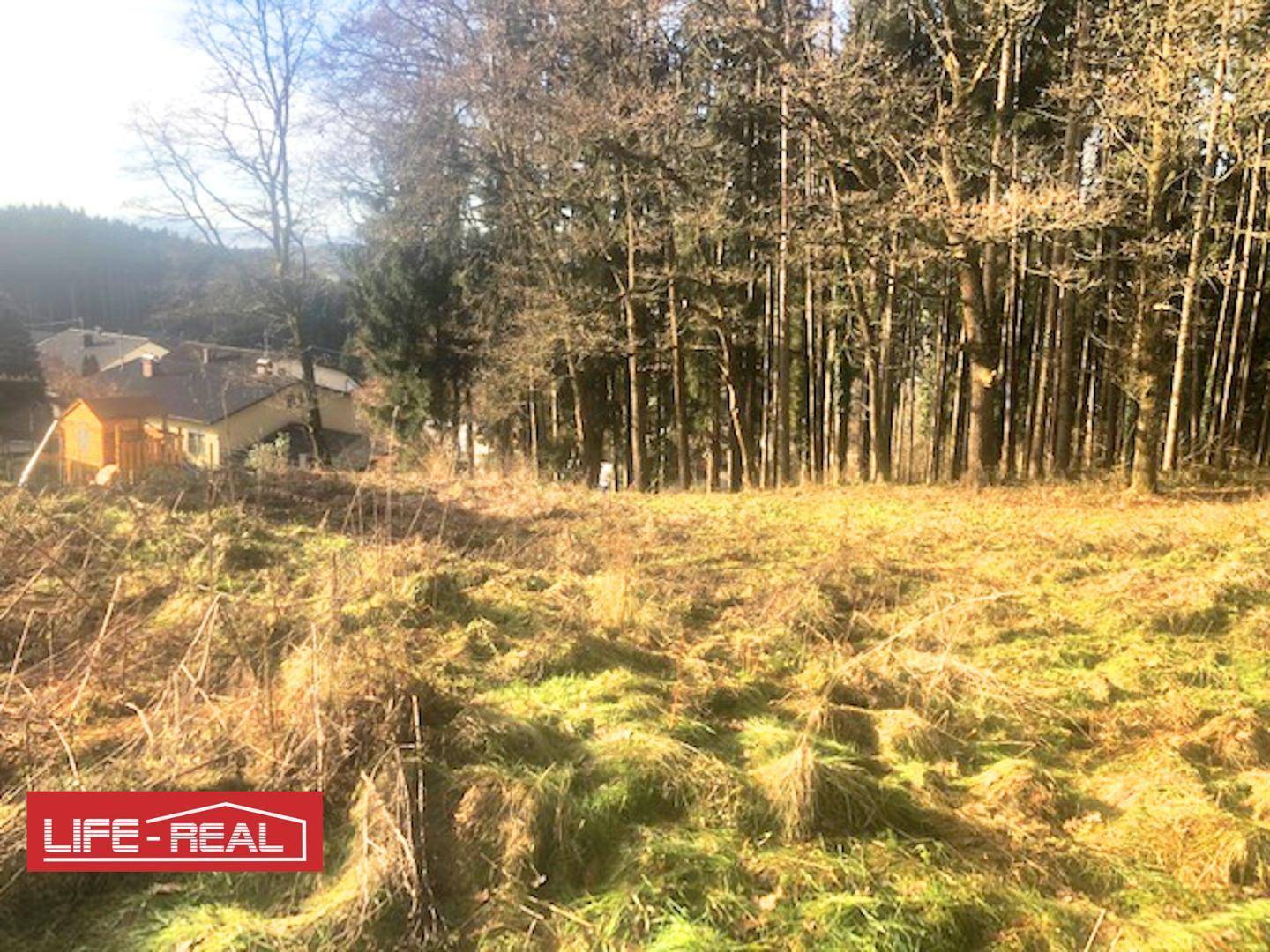 Am Wald grenzendes Baugrundstück - Ansicht 5