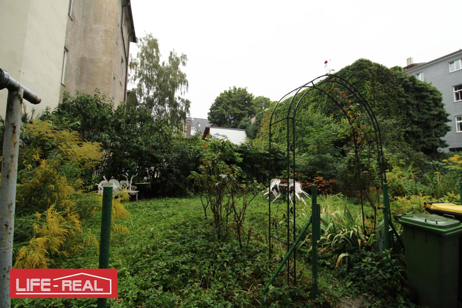 Großer, verwilderter Gartenbereich mit alten Bäumen und Sträuchern, umgeben von Gebäuden.