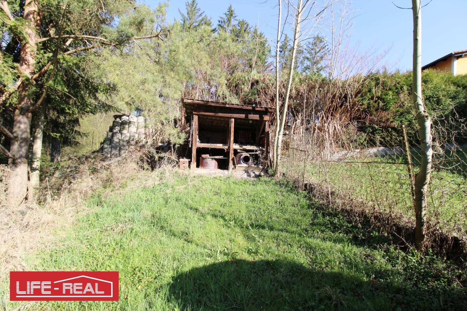 Rustikaler Holzunterstand in einer grünen, bewachsenen Umgebung mit Bäumen und Wiese.