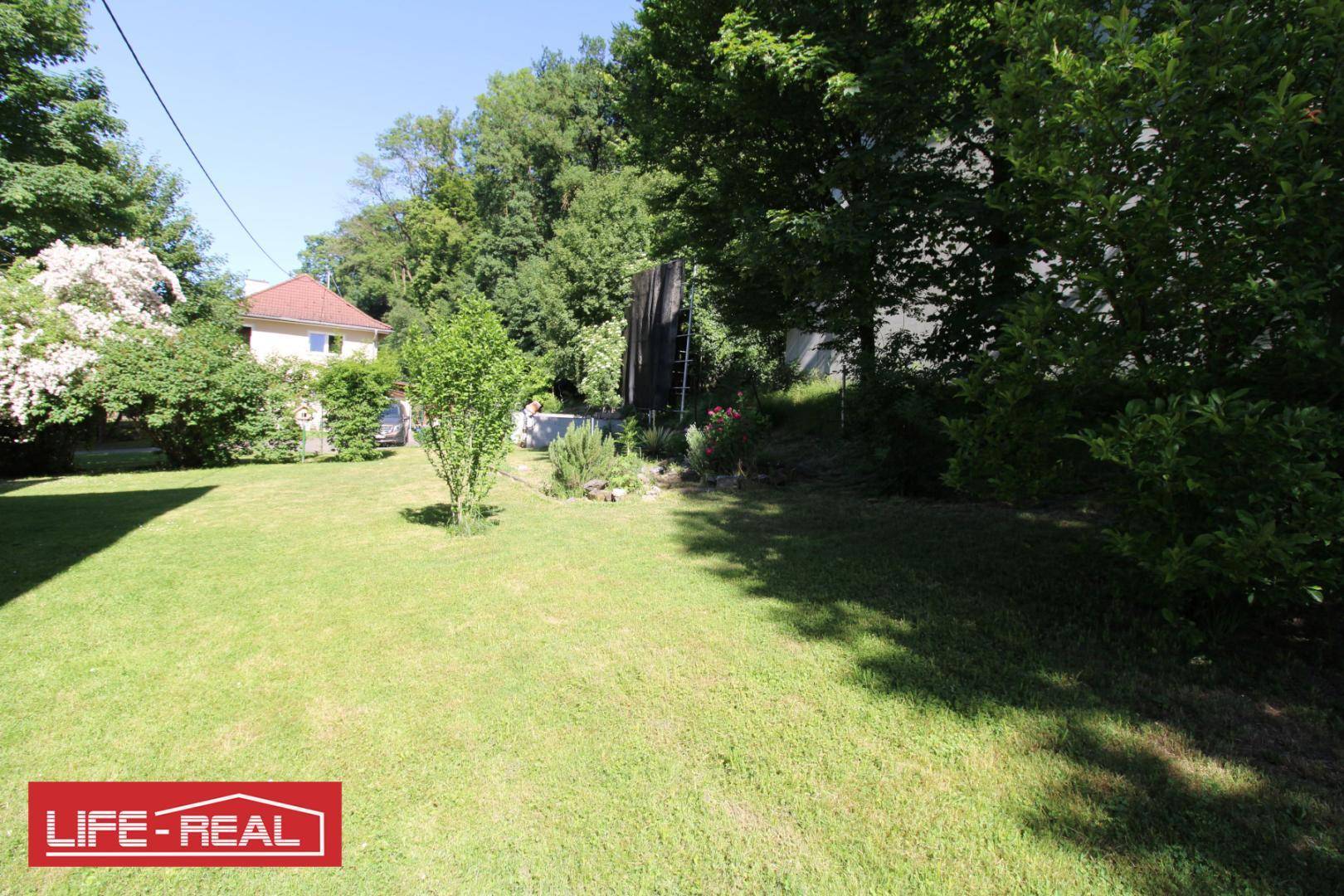 Großer, gepflegter Rasenbereich im Garten mit Bäumen und einem Haus im Hintergrund.