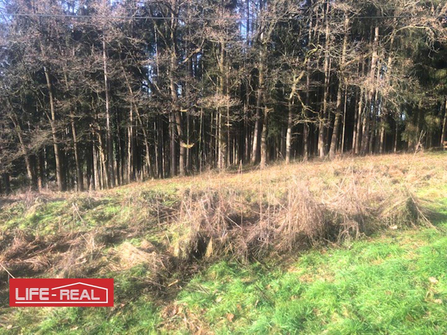 Naturbelassenes Grundstück mit Wiesen und dichtem Wald im Hintergrund, ideal für Ruhesuchende.
