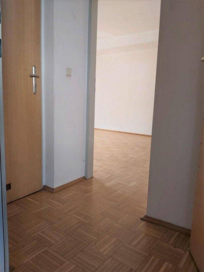 Heller Flur mit Parkettboden und Holztüren, der zu weiteren Räumen führt.