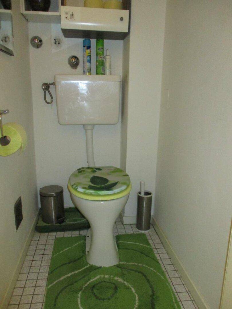 Separate Toilette mit weißer Keramik, grüner Dekoration und kleinen Bodenfliesen.