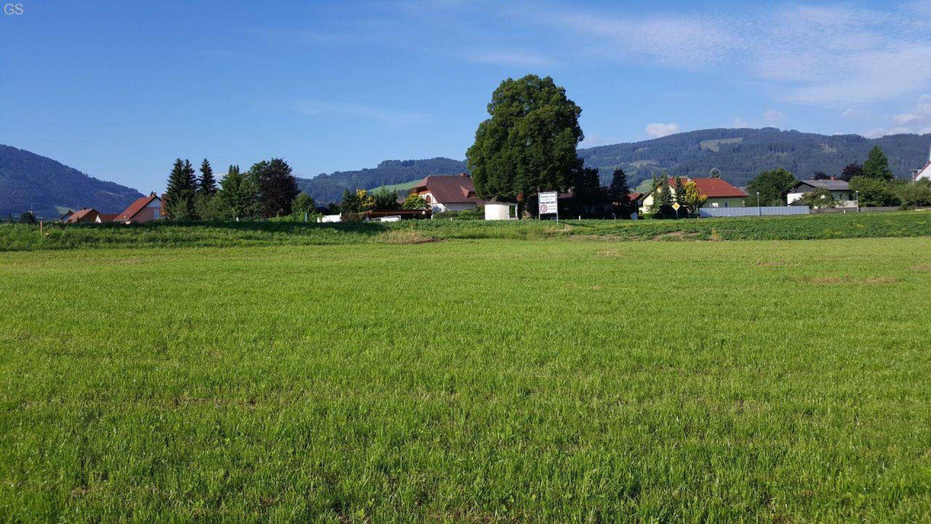Offene grüne Wiese mit Wohnhäusern und bewaldeten Bergen am Horizont.