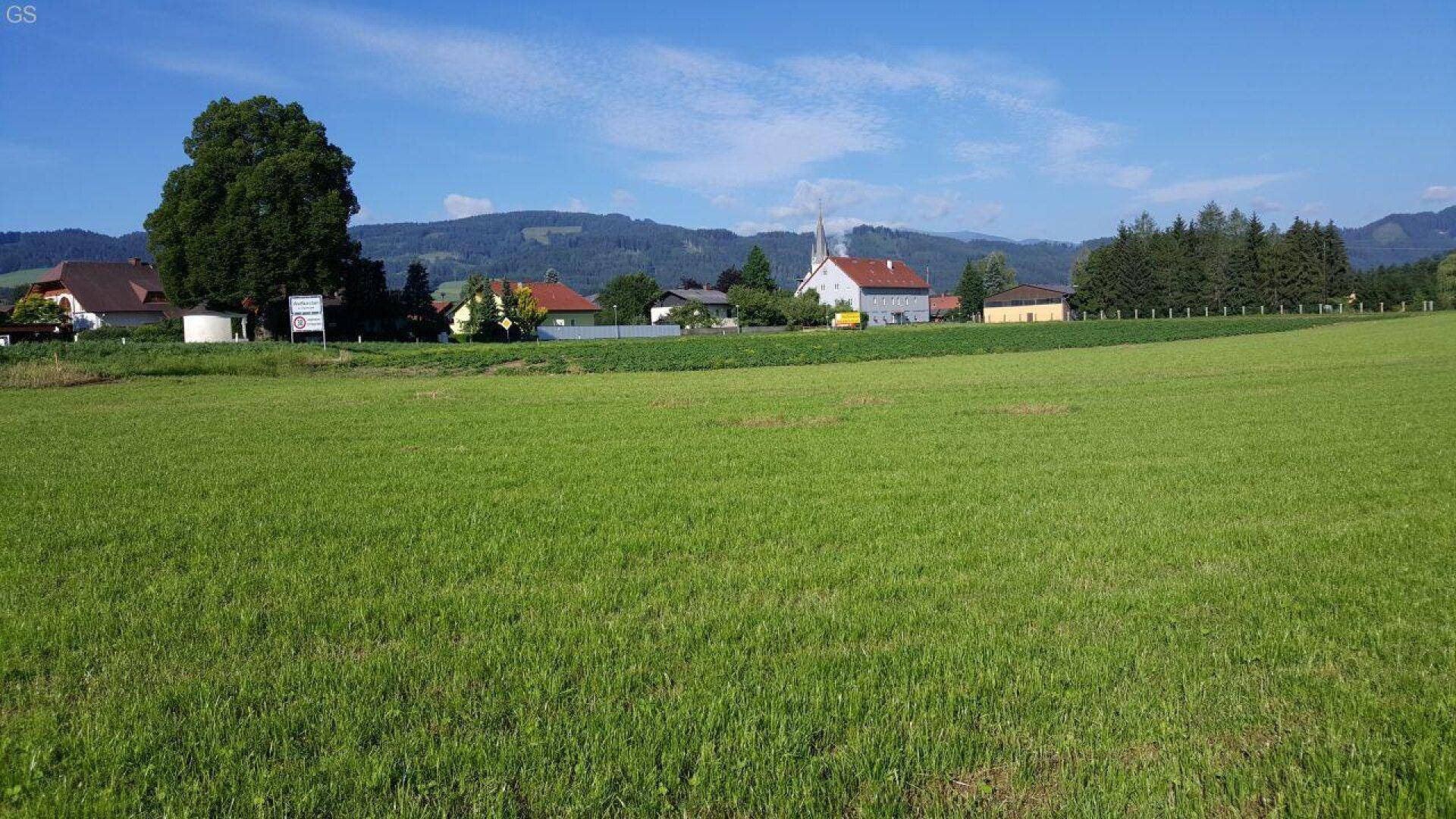 Weite grüne Wiese mit ländlicher Bebauung und einem Kirchturm vor bewaldeten Hügeln.