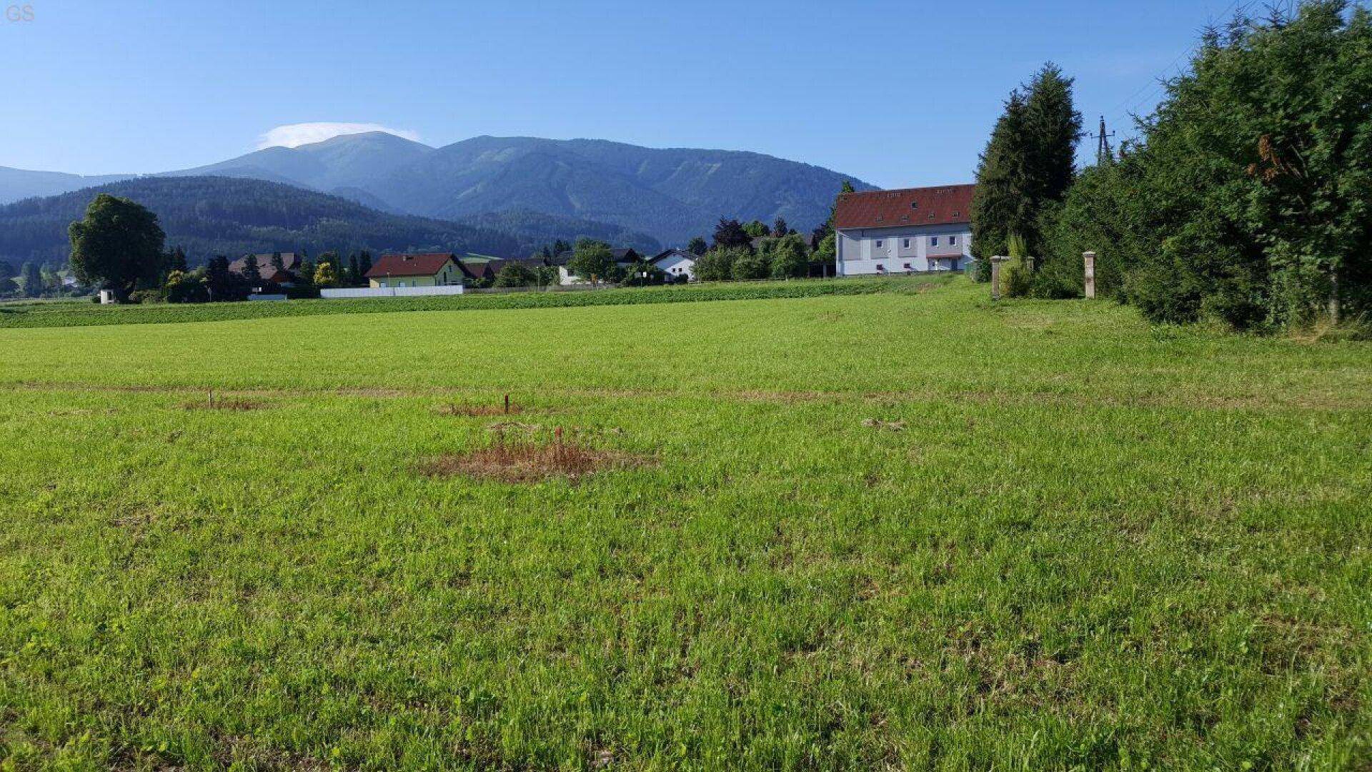 Ländliche Szenerie mit weiten grünen Feldern, Häusern und einer Bergkette im Hintergrund.