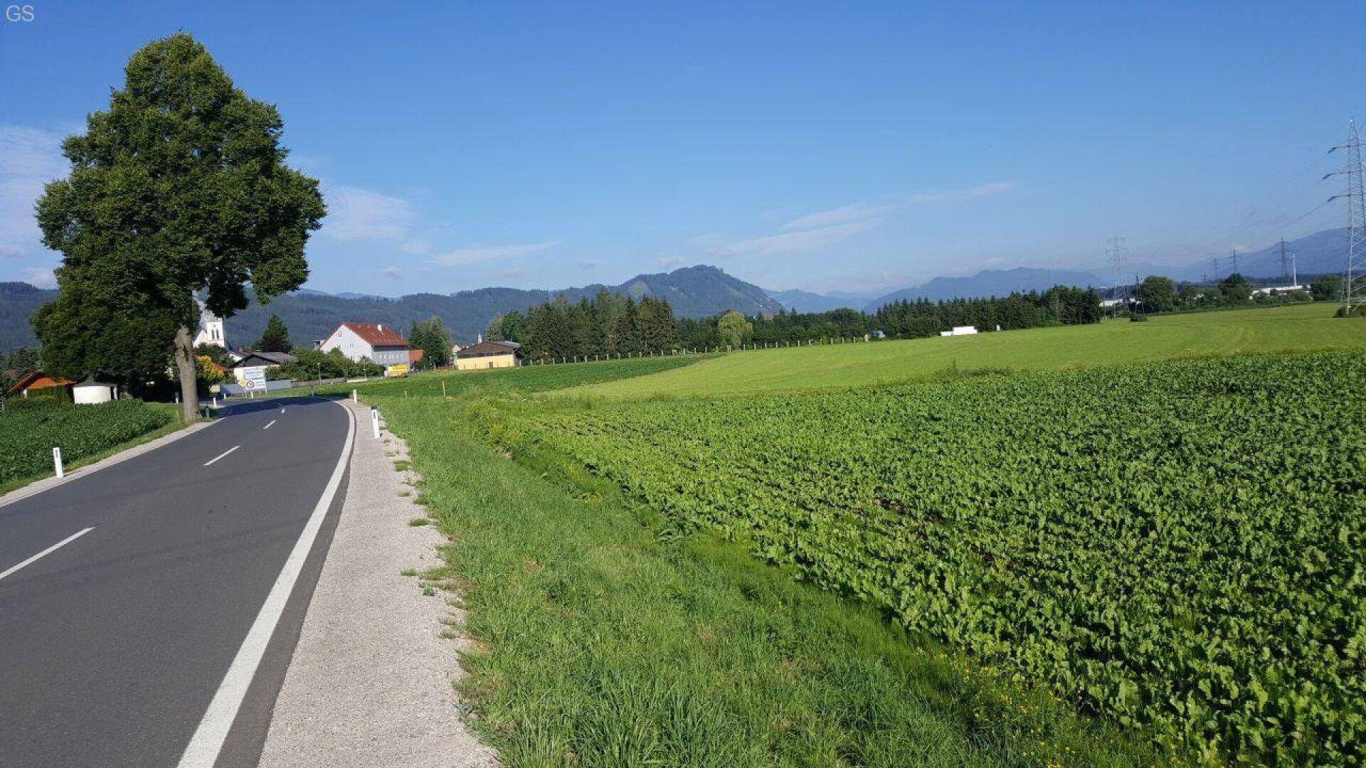 Landstraße neben einem Feld mit jungen Pflanzen und Bergen am Horizont.