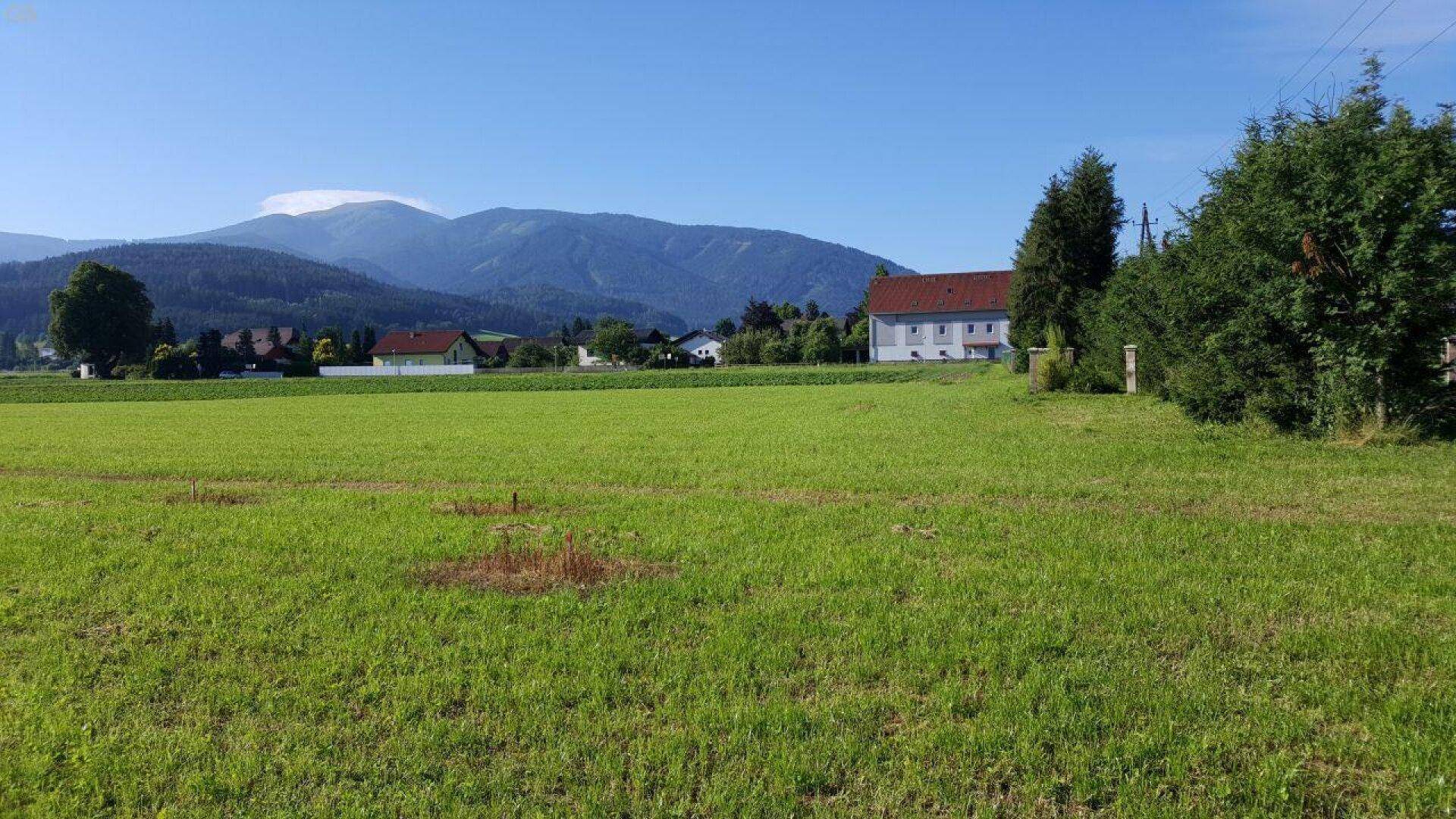 Weitläufige grüne Felder mit vereinzelten Häusern und einer imposanten Bergkulisse.