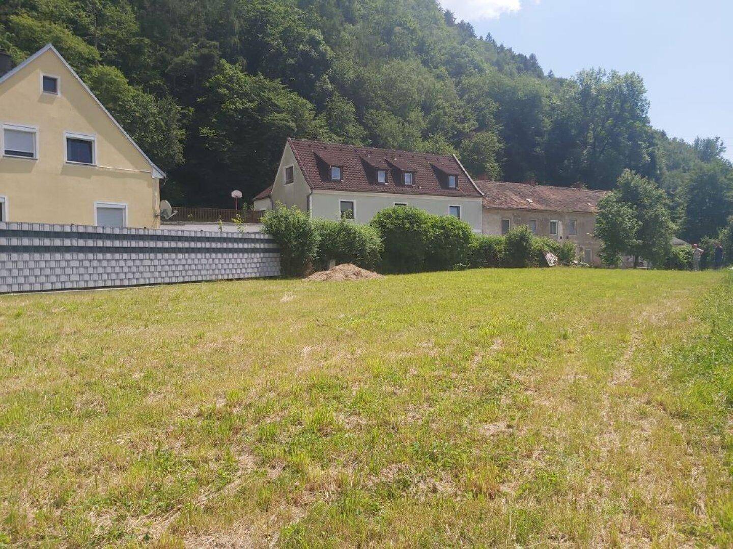 Großzügiges Wiesengrundstück mit angrenzenden Wohnhäusern und bewaldetem Berghang unter blauem Himmel.