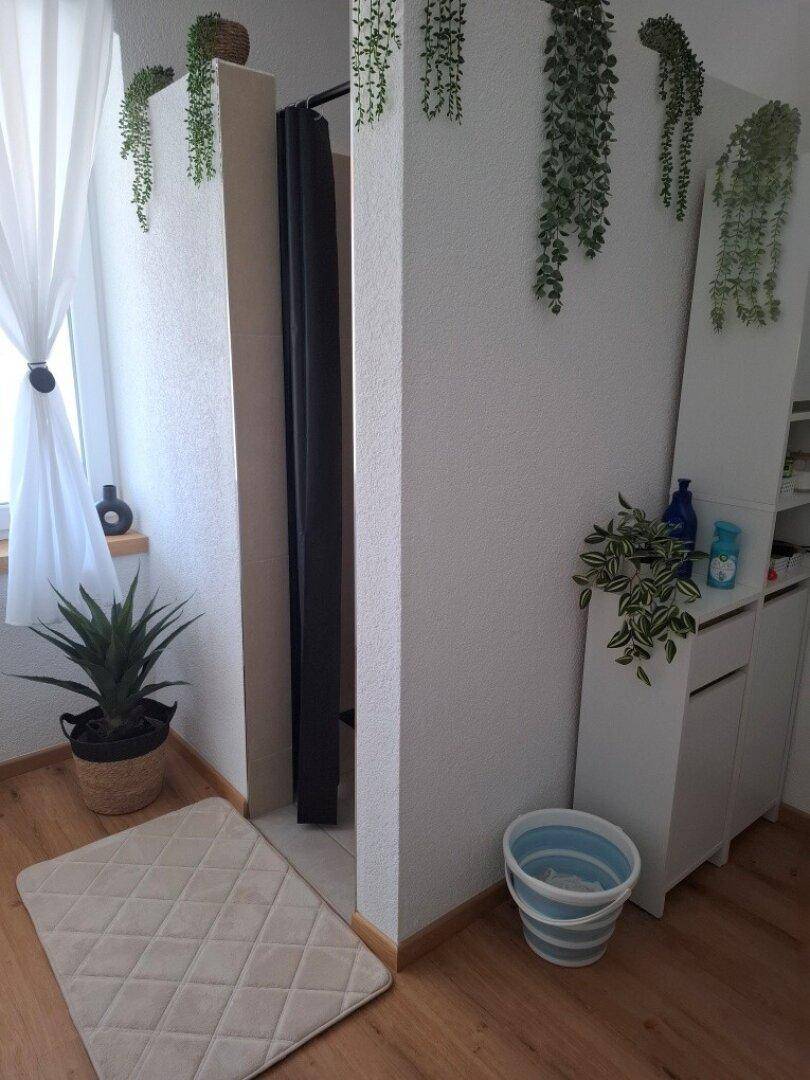 Badezimmerbereich mit Duschkabine, Fenster und dekorativen Pflanzen.