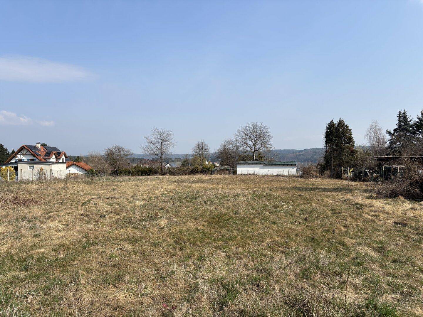Weitläufiges Grundstück mit trockenem Gras und Häusern sowie Wald in der Ferne.