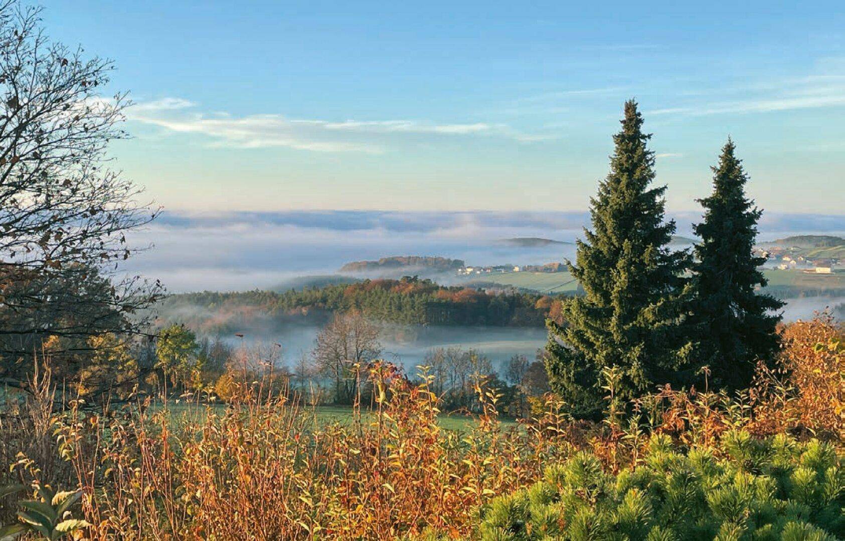 Malerischer Ausblick über eine neblige Landschaft mit Wäldern und Hügeln.