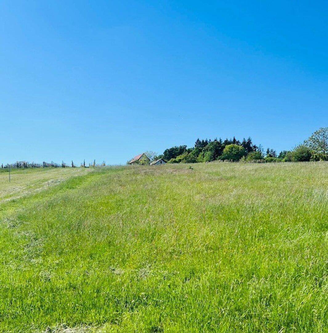 Weitläufige grüne Wiesenlandschaft mit vereinzelten Häusern und Bäumen am Horizont.