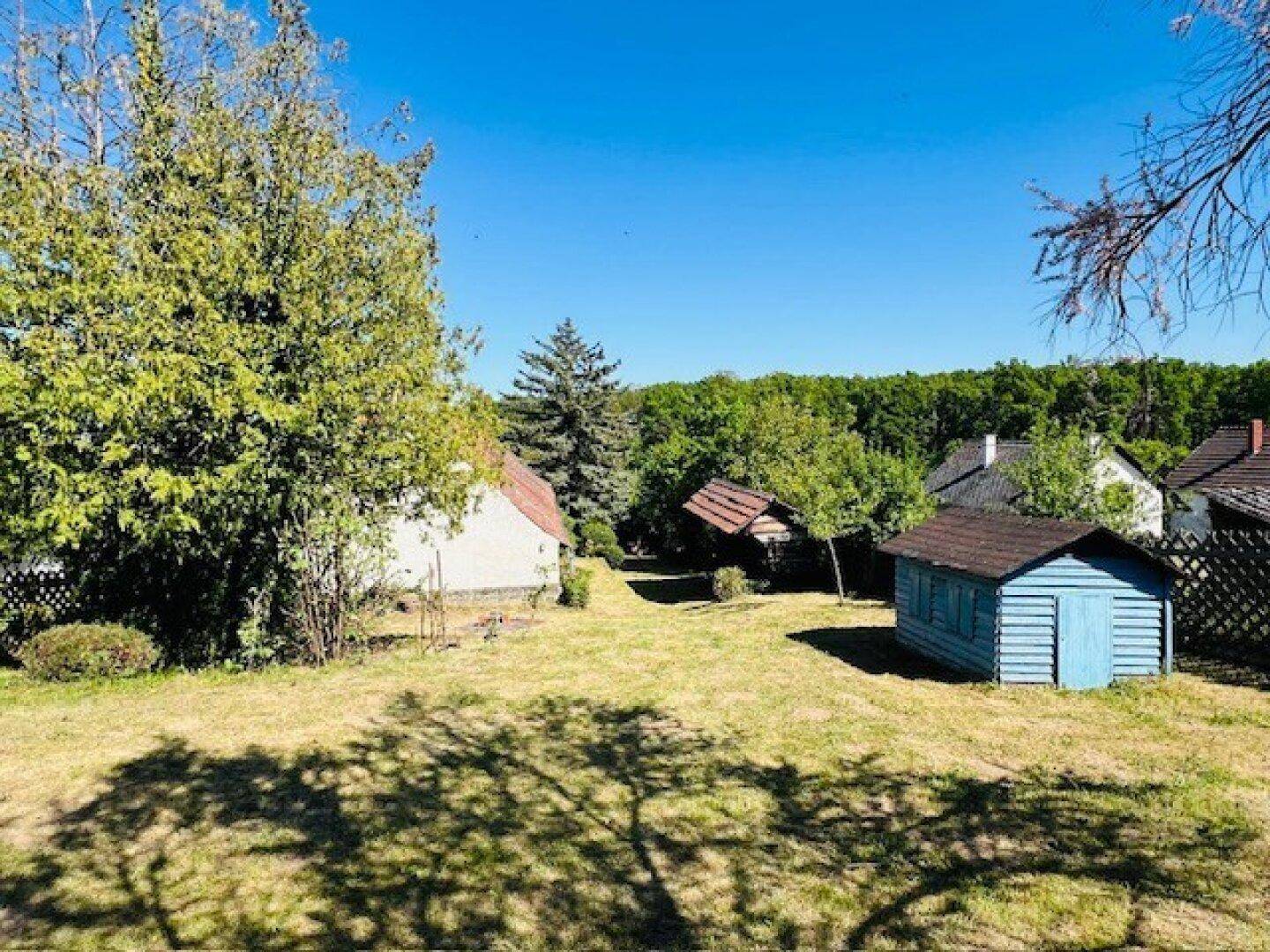 Sonniger Gartenbereich mit Rasenfläche, zwei kleinen Schuppen und Blick auf die Umgebung.