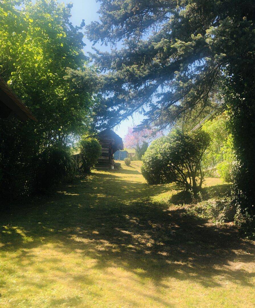 Schattiger Gartenweg umgeben von üppigem Grün und hohen Bäumen an einem sonnigen Tag.