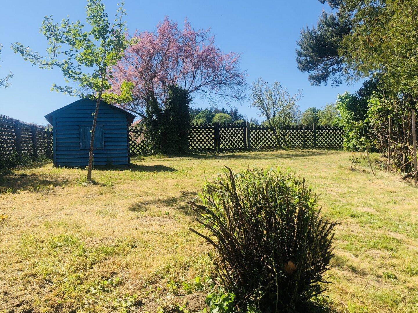 Sonniger Gartenbereich mit Rasenfläche, blauem Schuppen und dekorativem Holzzaun.