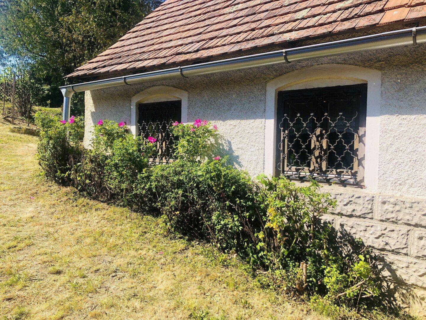 Seitenansicht des Hauses mit Ziegeldach, Regenrinne und blühenden Rosensträuchern vor den Fenstern.