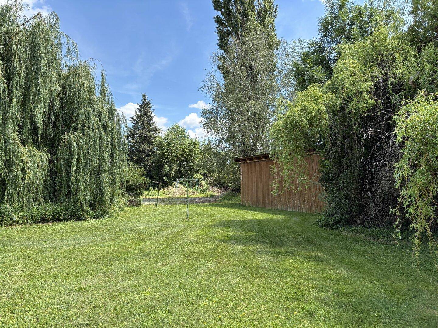 Großer, gepflegter Garten mit Rasenfläche, hohen Bäumen und einem Holzschuppen im Hintergrund.