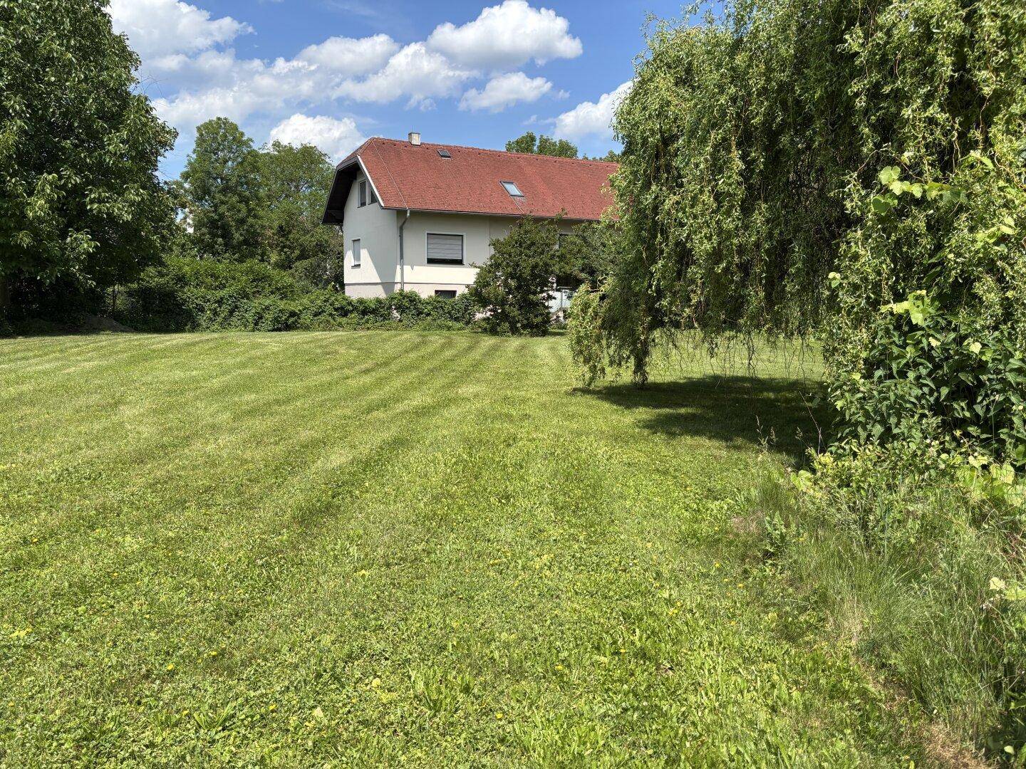 Weitläufige Rasenfläche mit einem Haus im Hintergrund und umgebenden Bäumen.