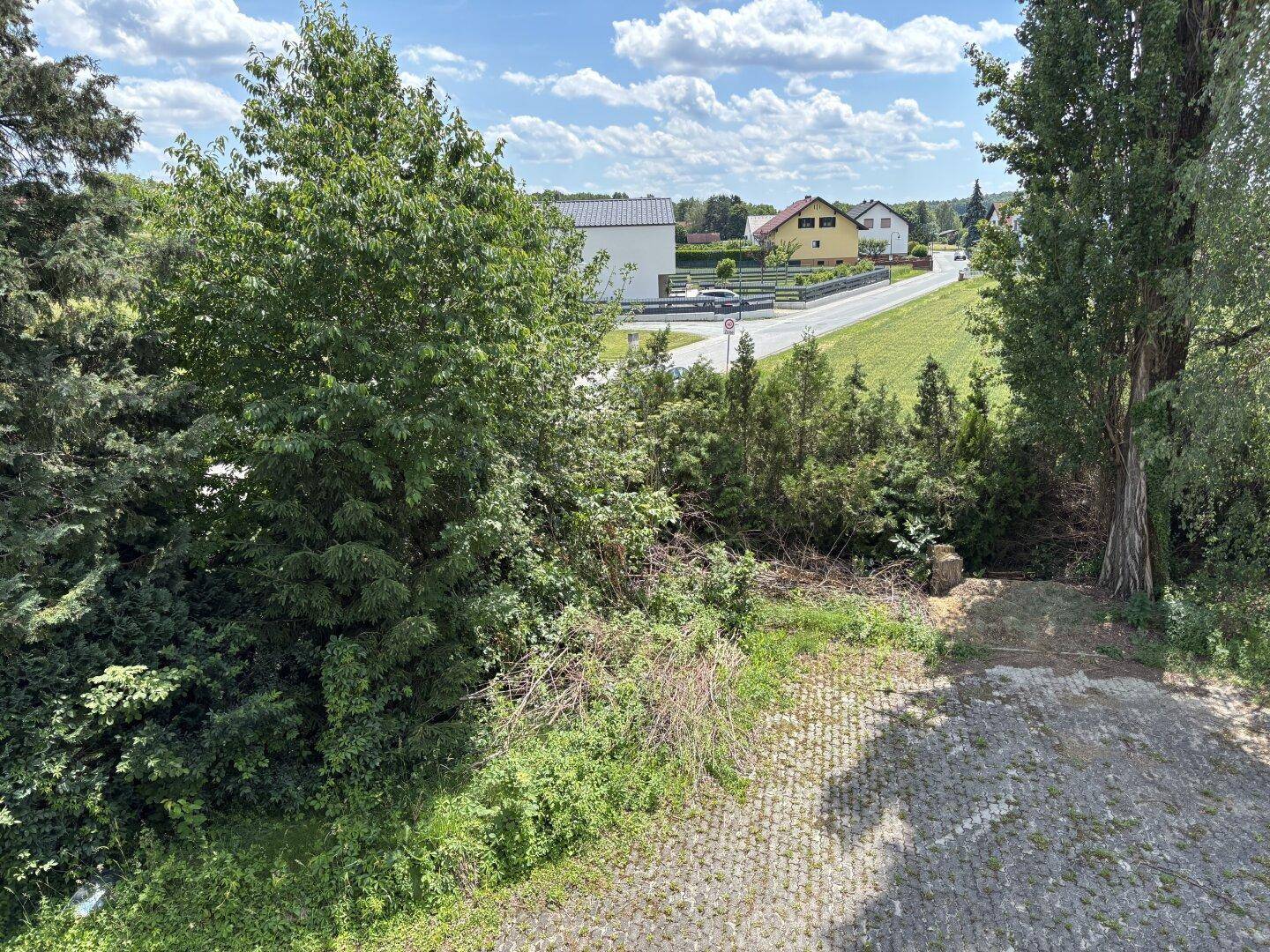 Außenansicht mit gepflastertem Bereich, üppigem Grün und Blick auf die Straße und Häuser.