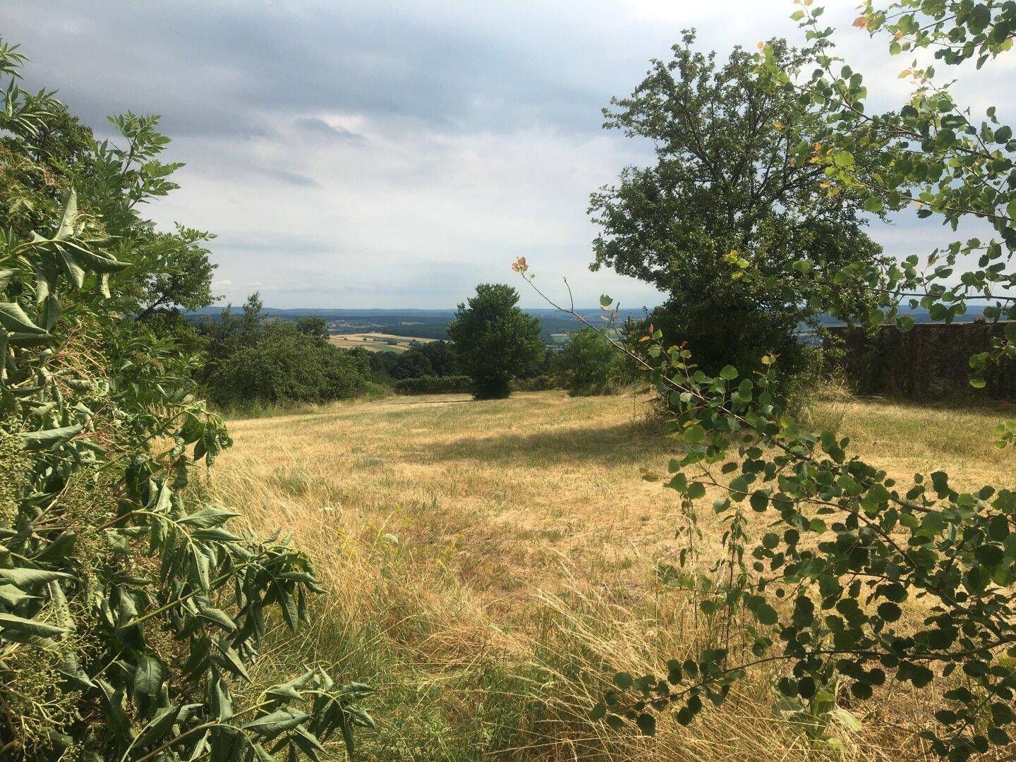 Weitläufige Wiesenlandschaft mit Bäumen und einem weiten Blick über die hügelige Umgebung.