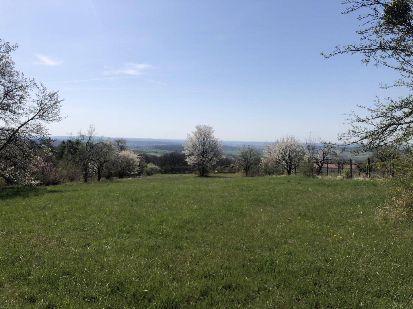 Idyllische Frühlingslandschaft mit blühenden Bäumen und weitem Blick über die grüne Natur.