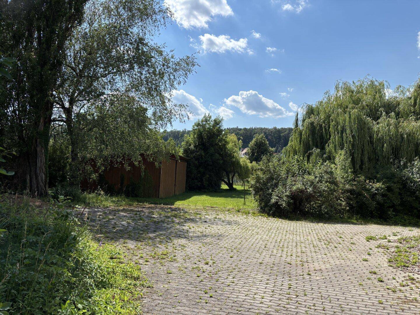 Gepflasterter Außenbereich umgeben von Bäumen mit Blick auf die hügelige Landschaft.