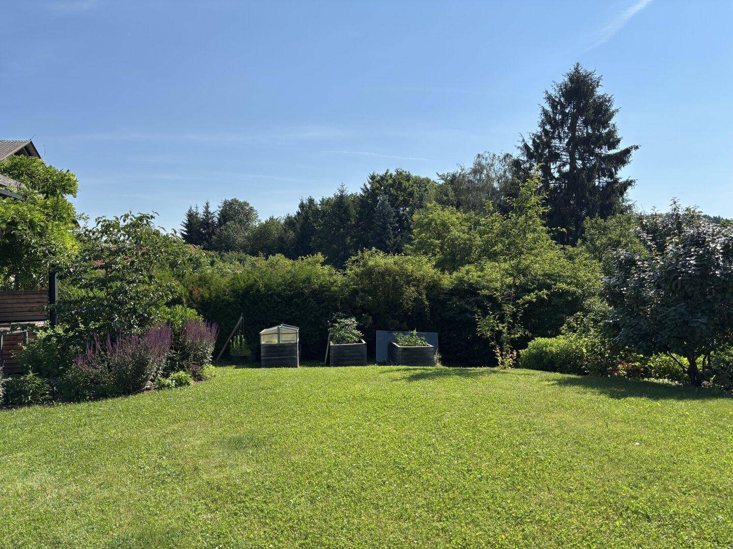 Weitläufiger Gartenbereich mit Rasenfläche, Hochbeeten und umgebenden Bäumen unter klarem Himmel.