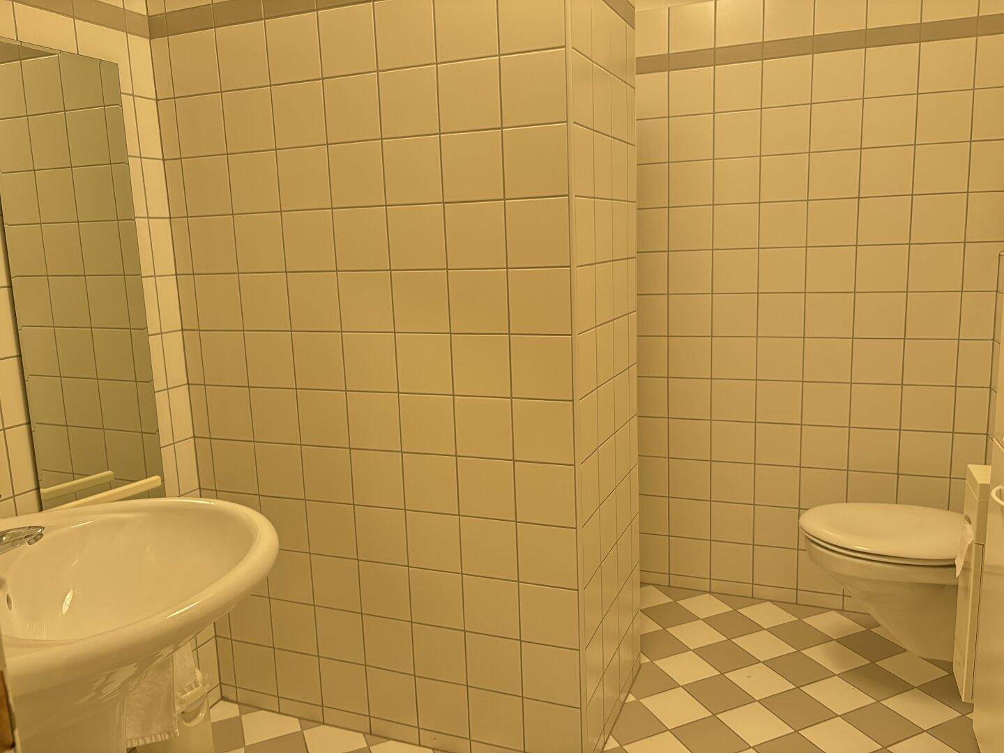 Badezimmer mit hellen Fliesen, Waschbecken und Toilette, im klassischen Stil gehalten.