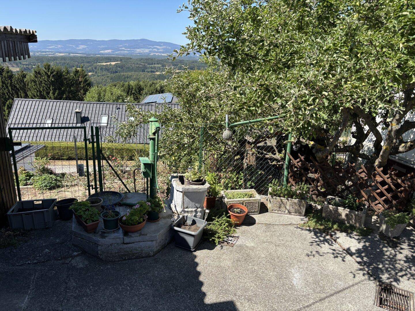 Gartenbereich mit Betonfläche, Pflanzen und einer alten Wasserpumpe, rustikal und charmant.