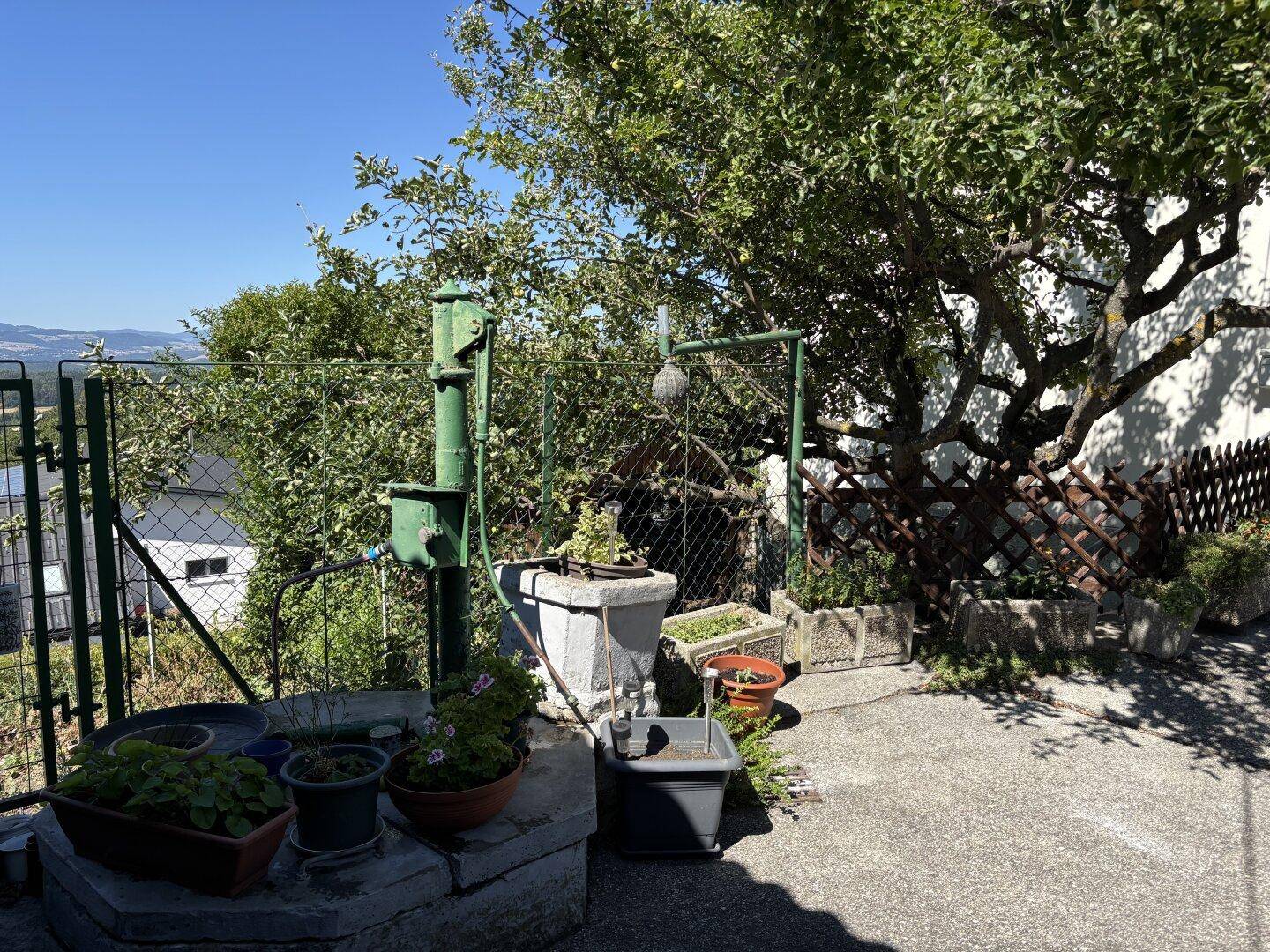 Gartenbereich mit Betonfläche, Pflanzen und einer alten Wasserpumpe, rustikal und funktional.