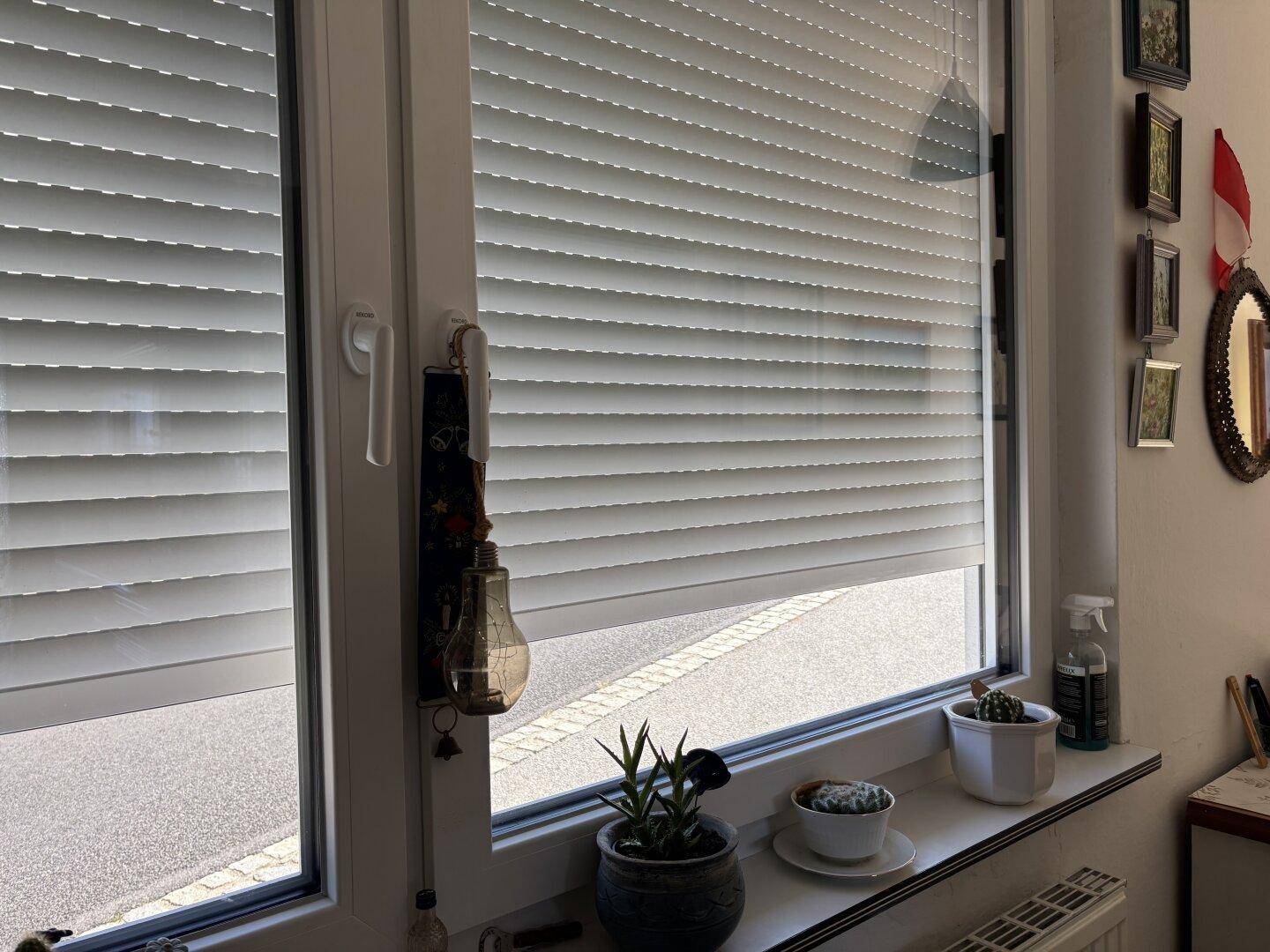 Fenster mit geschlossenen Rollläden, Topfpflanzen auf der Fensterbank und Wanddekoration.