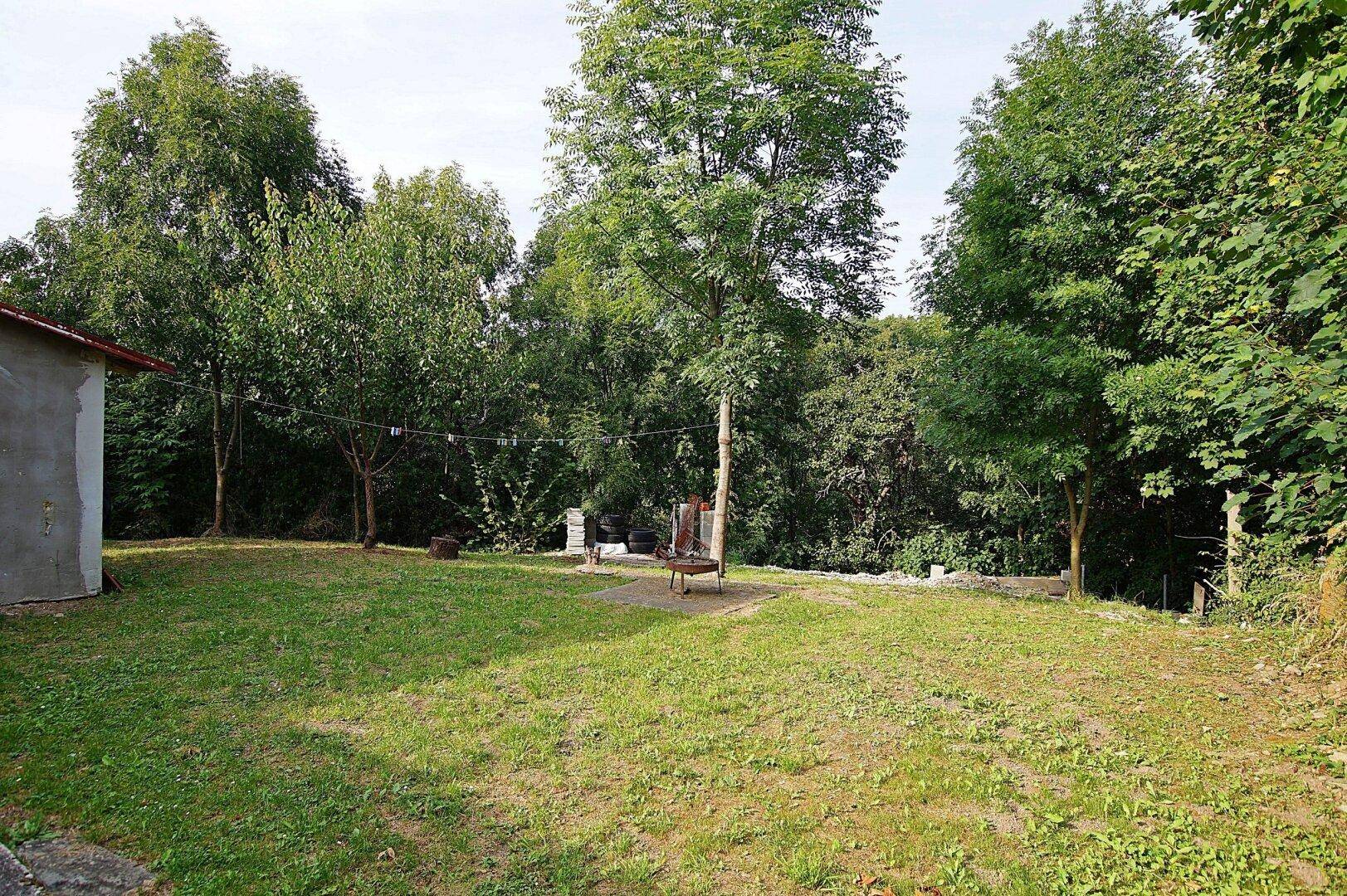 Großer Garten mit Rasenfläche, Bäumen und einem einfachen Grillplatz im Grünen.