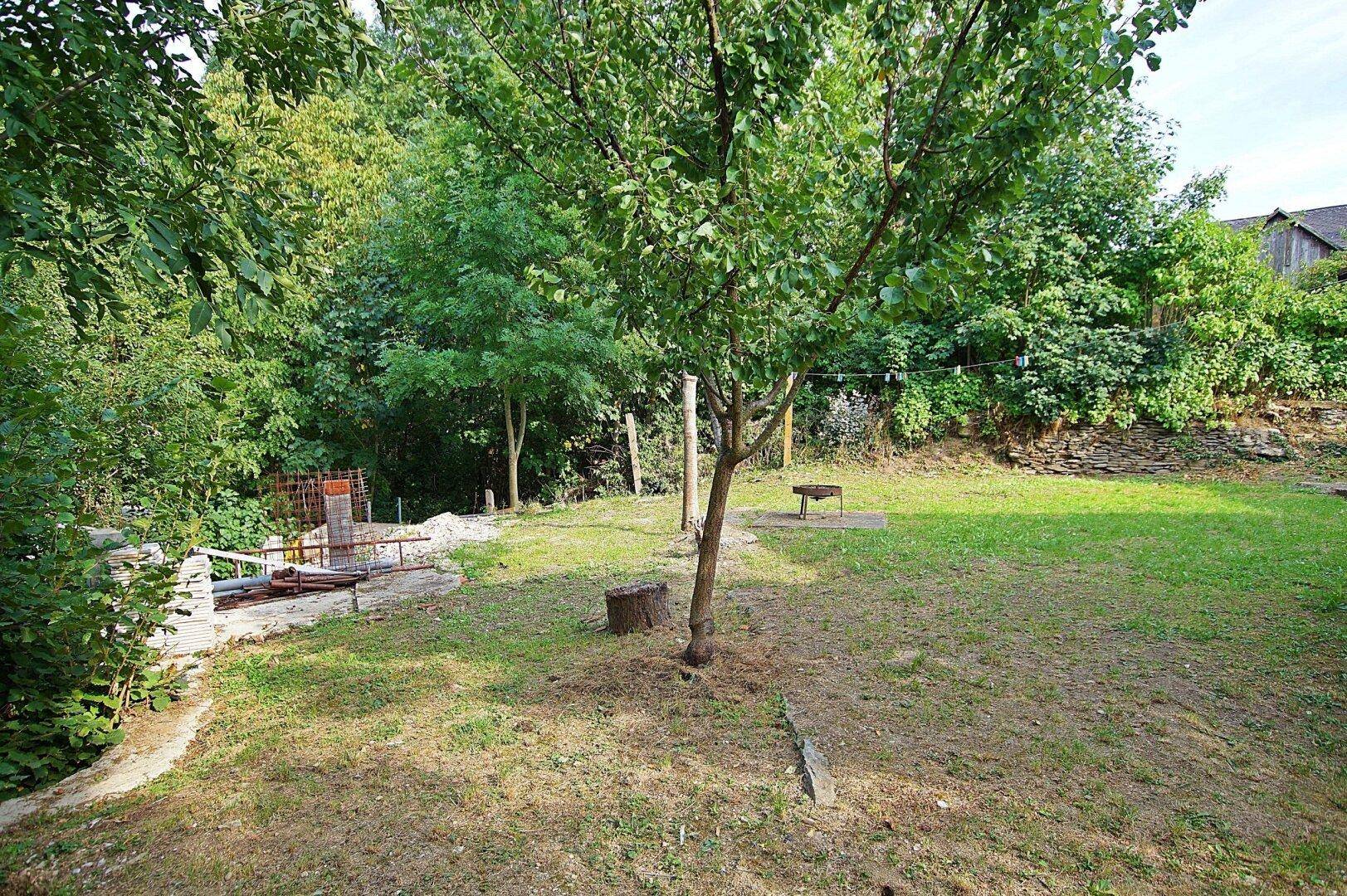 Großer Garten mit Rasenfläche, Obstbaum und einem einfachen Grillplatz im Grünen.