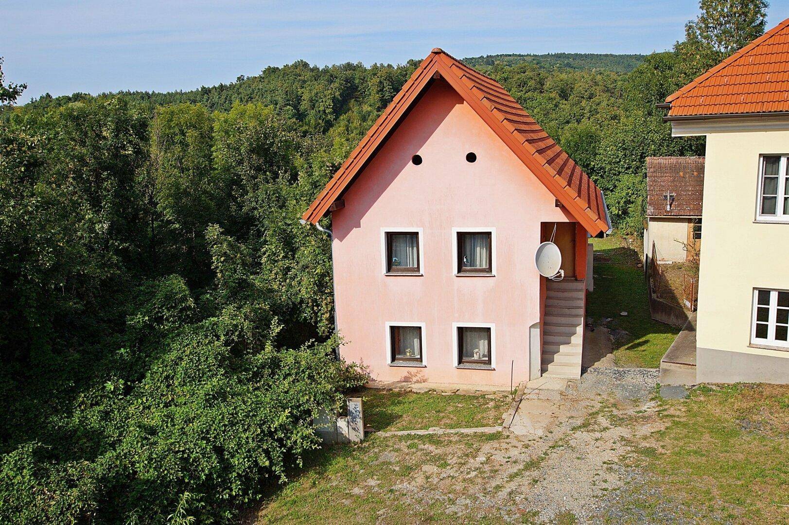 Einfamilienhaus mit rosafarbener Fassade, Satteldach und umgeben von viel Grün.